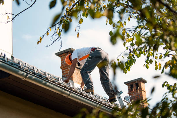 Best Gutter Installation and Roofing  in Chesapeake, WV