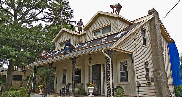 Best Local Roofing Companies  in Chesapeake, WV
