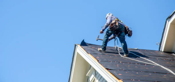 Best Shingle Roofing Installation  in Chesapeake, WV